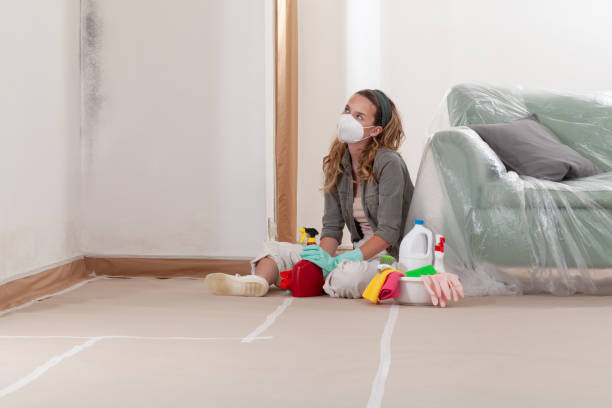 Reliable Mold Testing contractor in Cabin John, MD by WQB Mold Removal