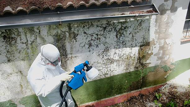 Top rated local Mold Testing specialists in Cabin John, MD